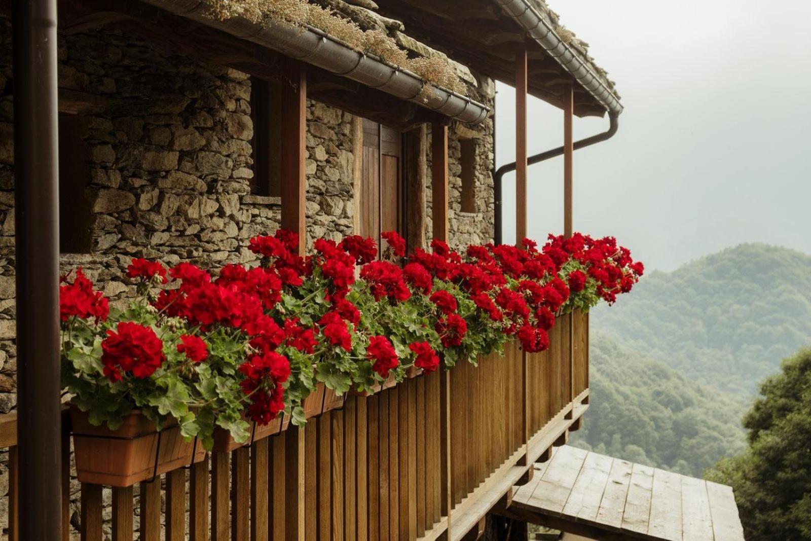 Rifugio Alpino Baudinet - Trek&Relax Bed and Breakfast Chiusa di Pesio Buitenkant foto
